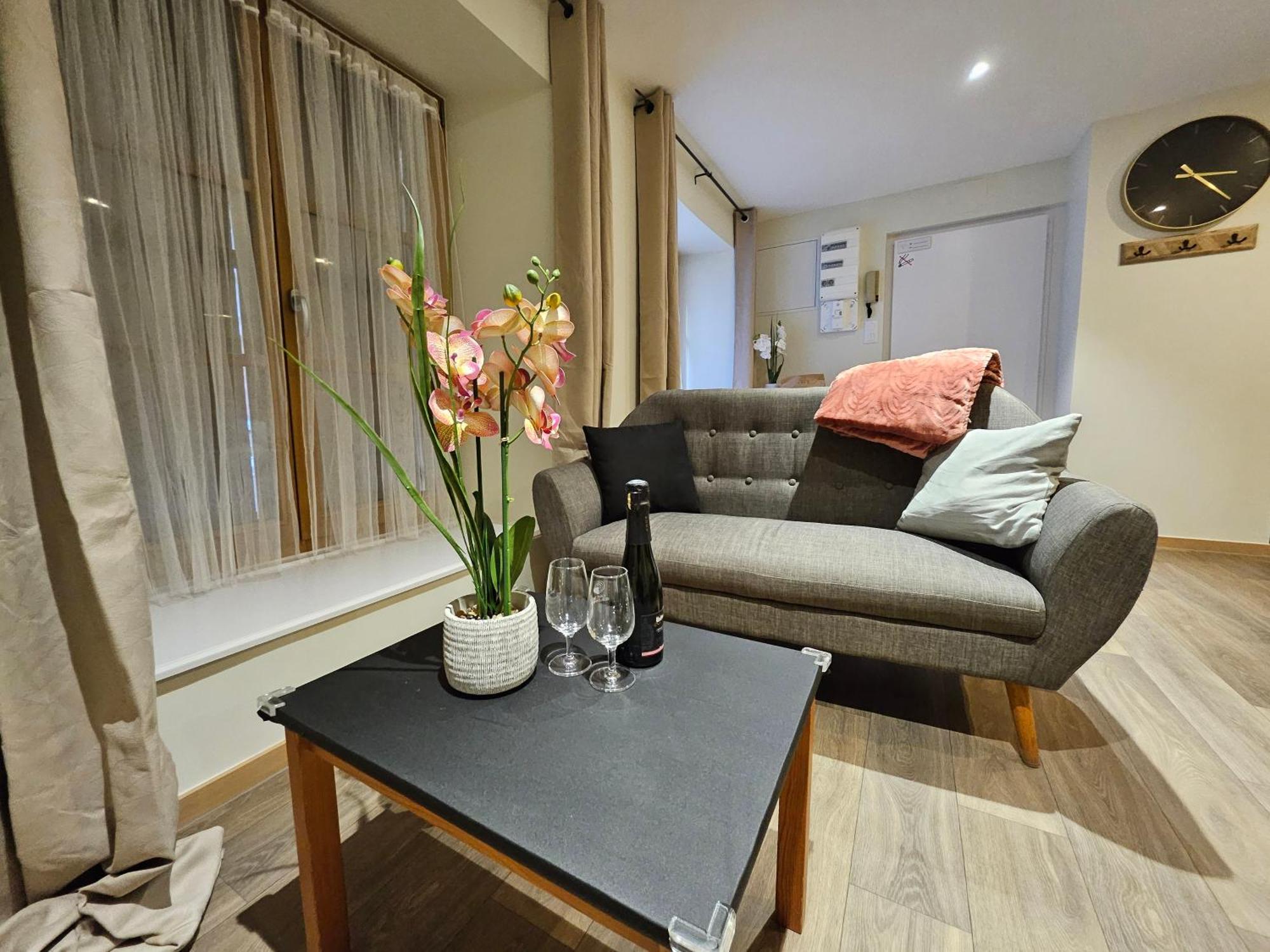Centre Ville- Le Cocon De La Petite Venise Appartement Colmar